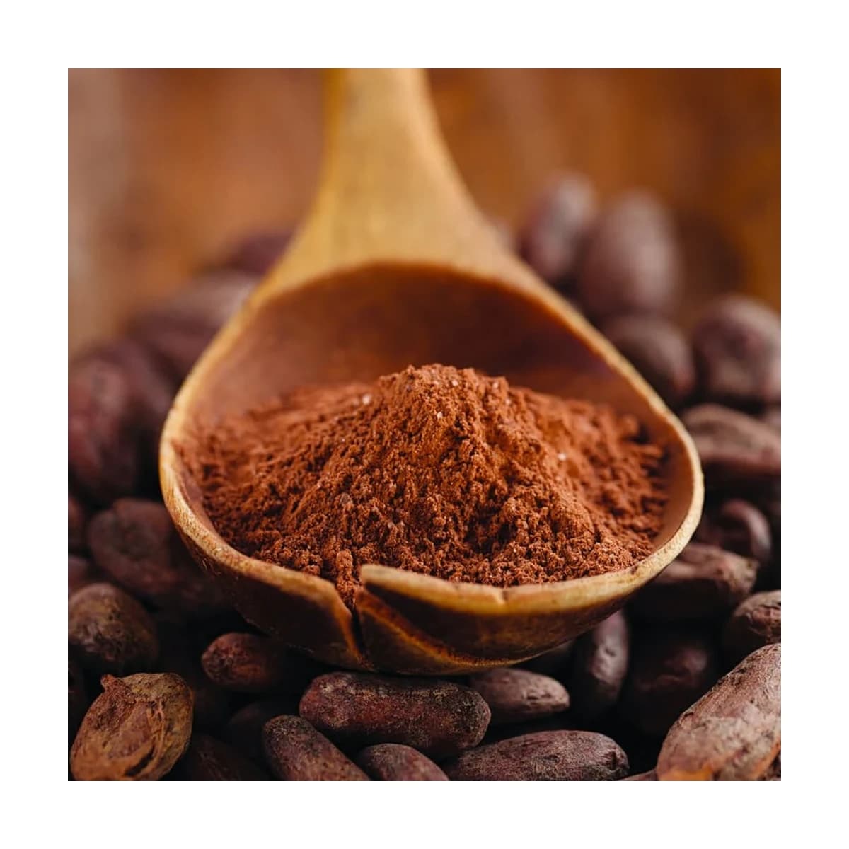 Cocoa powder — CREA